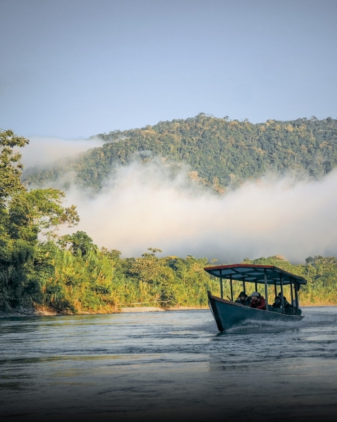 Jungle Tours Peru 08